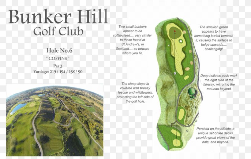 Bunker Hill Golf Club Golf Course Hazard Hitman, PNG, 800x521px, Golf, Aerial Image, Golf Course, Hazard, Hitman Download Free