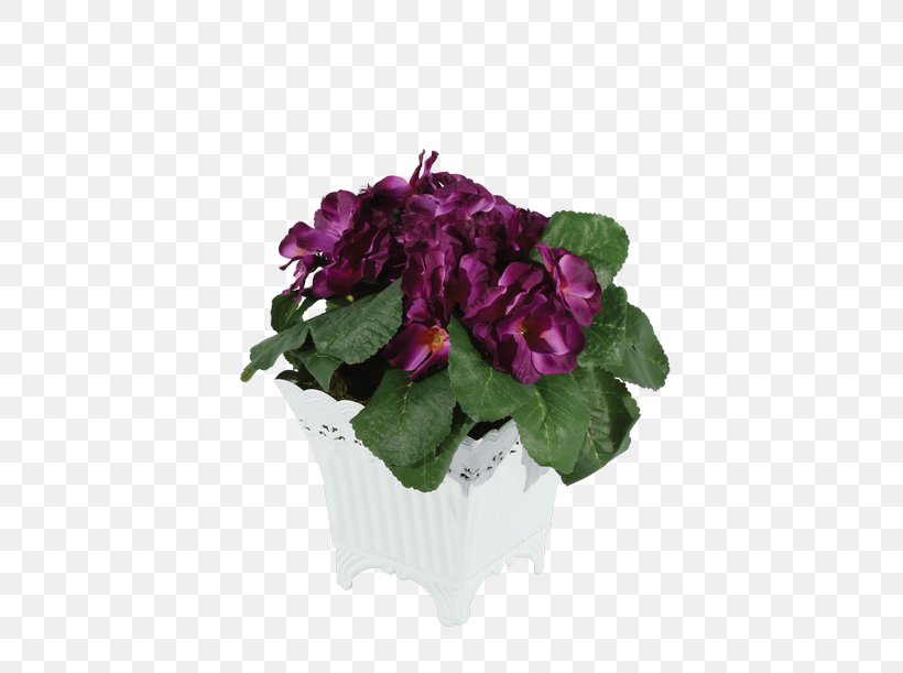 Cyclamen Violet Flowerpot Annual Plant Cut Flowers, PNG, 500x611px, Cyclamen, Annual Plant, Cut Flowers, Family, Flower Download Free