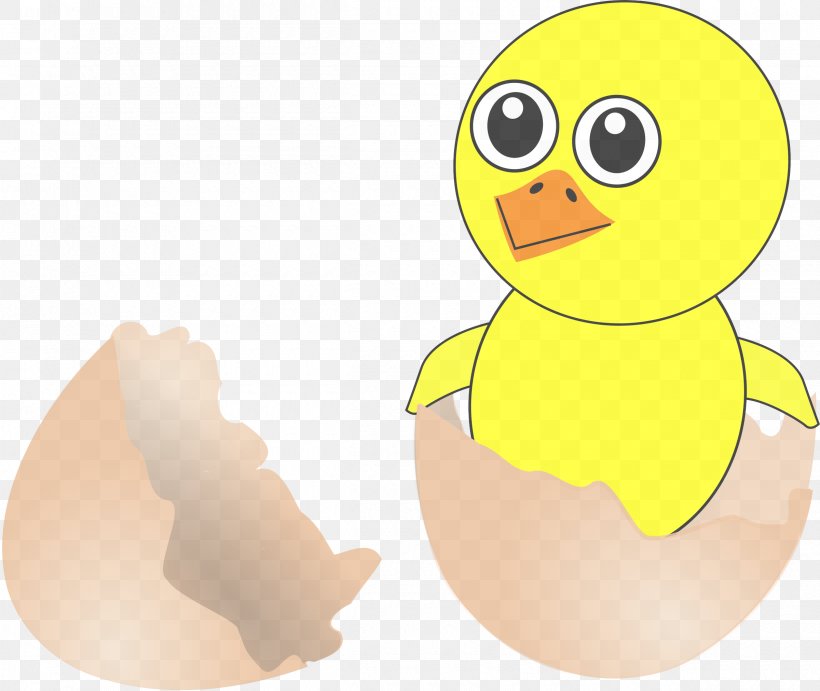 Yellow Cartoon Bird Duck Ducks, Geese And Swans, PNG, 2400x2023px, Yellow, Beak, Bird, Cartoon, Duck Download Free