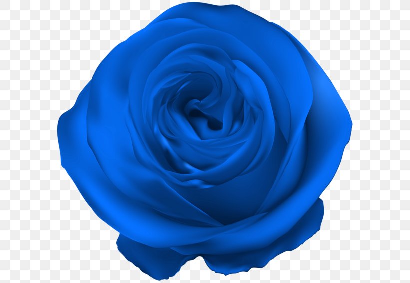 Blue Rose Garden Roses Flower, PNG, 600x566px, Rose, Azure, Blue, Blue Flower, Blue Rose Download Free