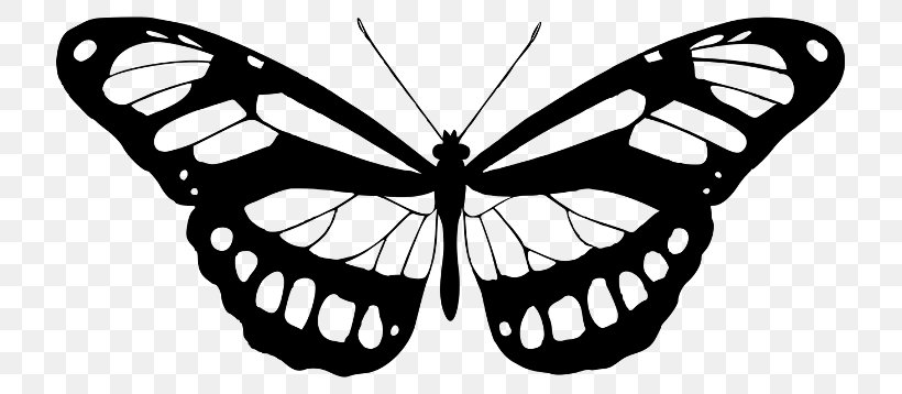 Butterfly Printmaking Photography Art, PNG, 717x358px, Butterfly, Abstract Art, Art, Arthropod, Black And White Download Free