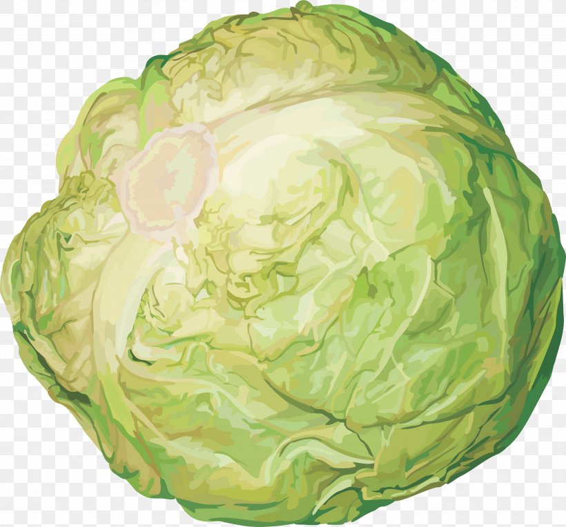 Cabbage Stew Red Cabbage Food, PNG, 3499x3263px, Watercolor, Cartoon, Flower, Frame, Heart Download Free