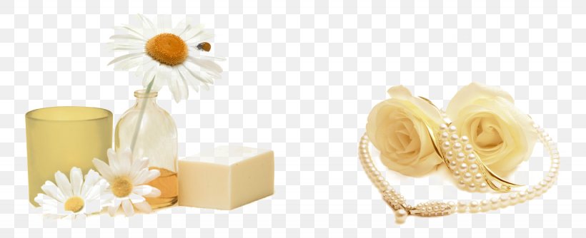 Download, PNG, 1435x585px, Designer, Cheese, Dairy Product, Flavor, Food Download Free