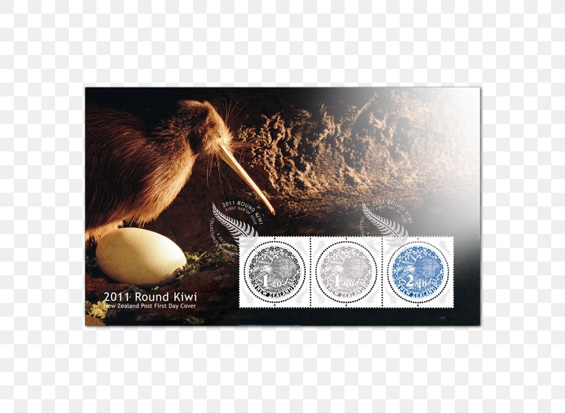 Stock Photography Little Spotted Kiwi Bird Alamy, PNG, 600x600px, Stock Photography, Advertising, Alamy, Bird, Bird Egg Download Free