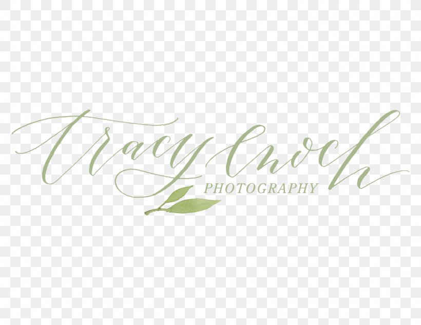 Tracy Enoch Photography Text Wedding Photography Photographer, PNG, 1500x1159px, Tracy Enoch Photography, Brand, Bride, Calligraphy, Engagement Download Free