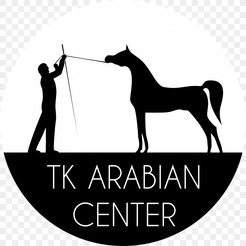 W. K. Kellogg Arabian Horse Center Mustang Stallion Colt, PNG, 1667x1667px, Arabian Horse, Animal Husbandry, Black And White, Brand, Colt Download Free