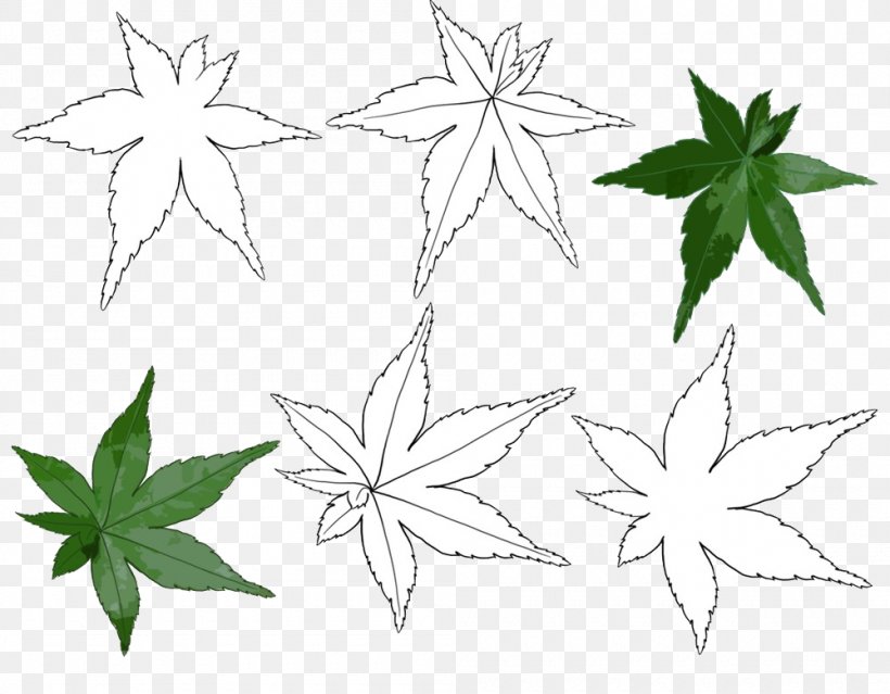 Black And White Maple Leaf Line Art, PNG, 1000x780px, Black And White, Artwork, Drawing, Flora, Flower Download Free