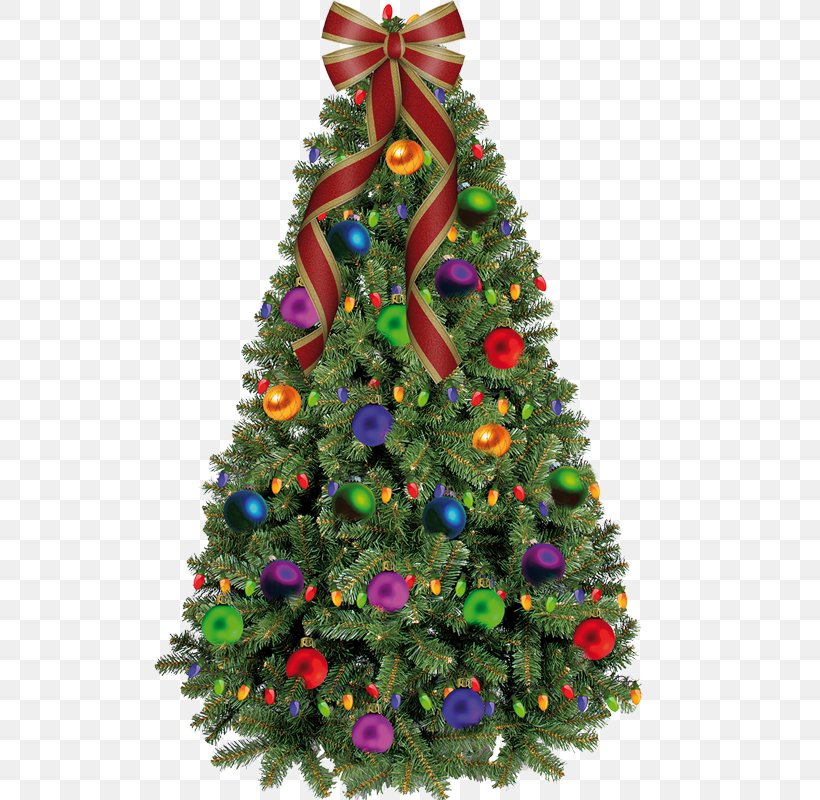Christmas Tree, PNG, 800x800px, Candy Cane, Artificial Christmas Tree, Christmas, Christmas And Holiday Season, Christmas Decoration Download Free