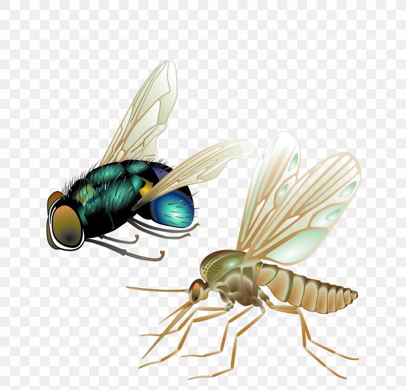 Mosquito Fly Insect Vector, PNG, 1373x1320px, Mosquito, Arthropod, Bee, Drawing, Fly Download Free
