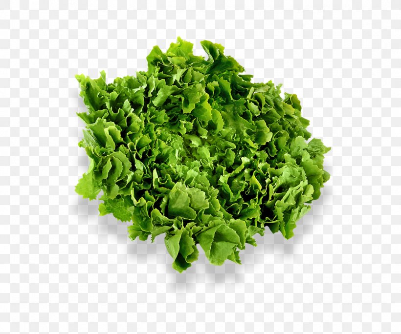 Salad Vegetable Cub Foods Spinach, PNG, 1068x892px, Salad, Brooklyn Park, Butterhead Lettuce, Cub Foods, Food Download Free