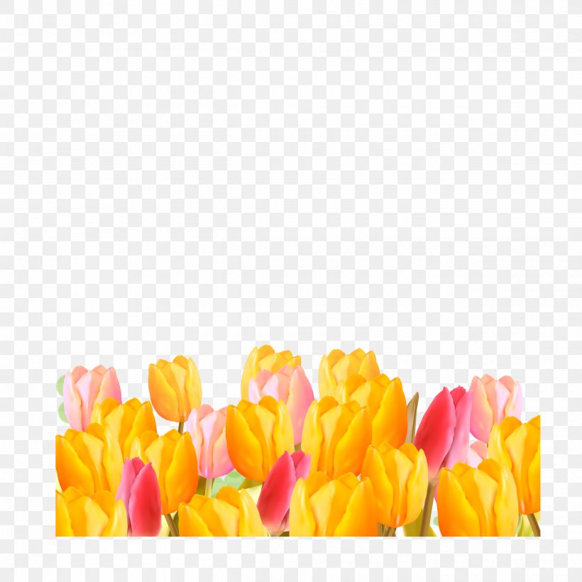 Tulip Flower Download, PNG, 2500x2500px, Tulip, Computer, Floral Design, Floristry, Flower Download Free