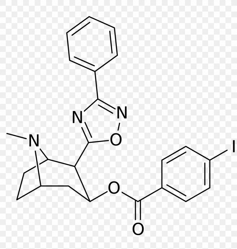 Wikipedia Chemistry Molecule Chemical Compound Structural Analog, PNG, 972x1024px, Wikipedia, Area, Bioisostere, Black And White, Chemical Compound Download Free