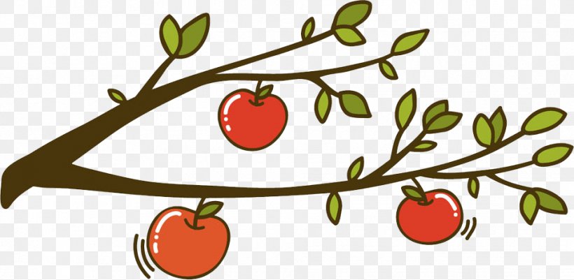 Apple Auglis Clip Art, PNG, 963x472px, Apple, Area, Auglis, Branch, Cherry Download Free