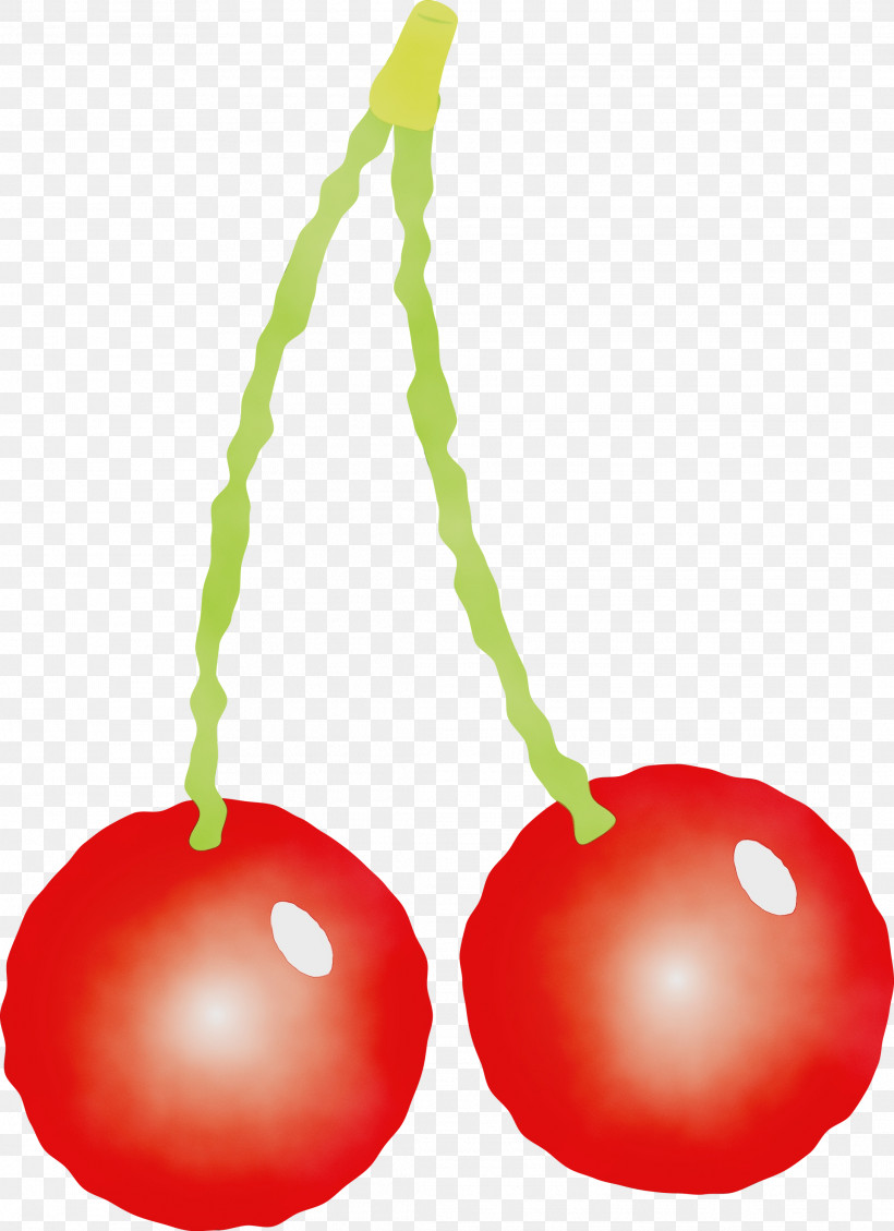 Cherry Fruit Plant Drupe, PNG, 2178x3000px, Cherry, Drupe, Fruit, Paint, Plant Download Free