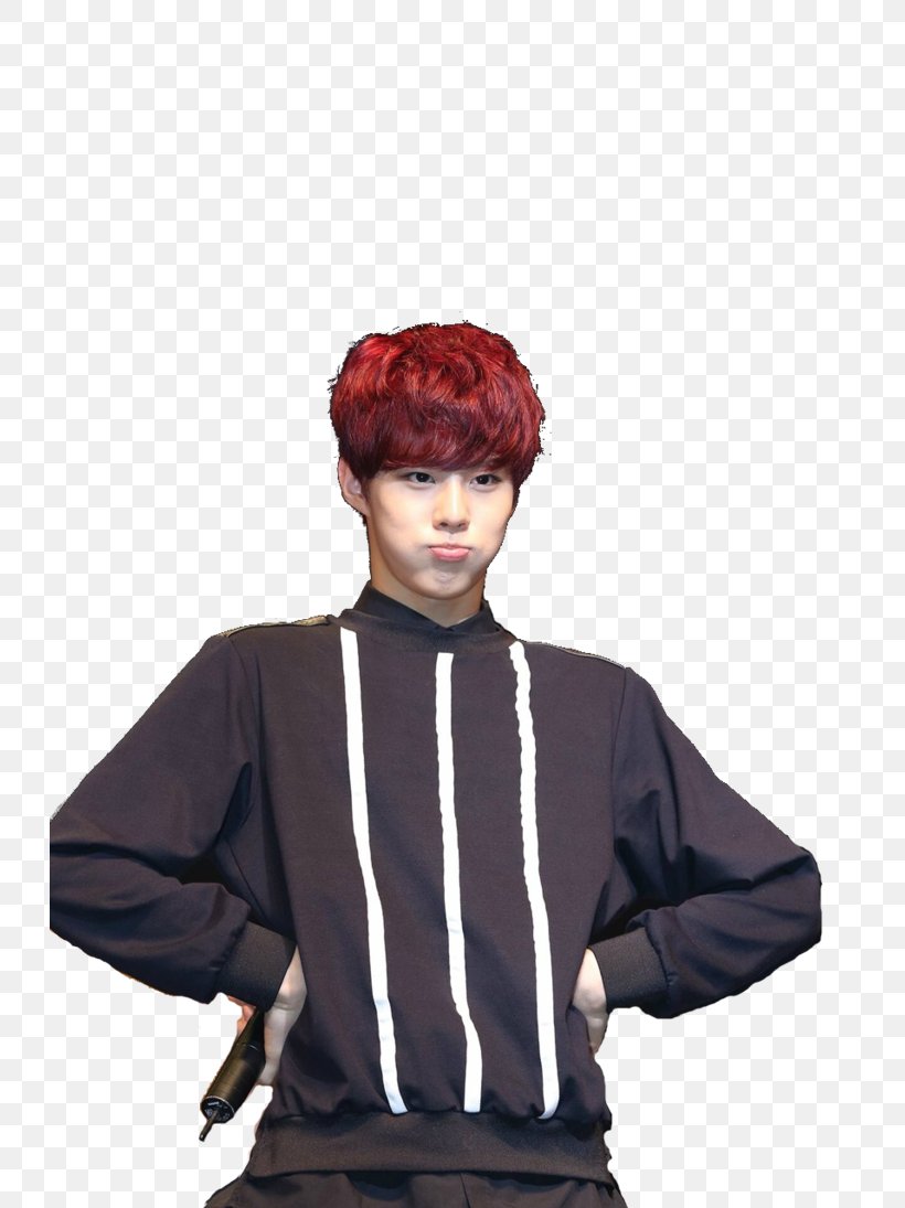 WOOSHIN UP10TION DeviantArt, PNG, 730x1095px, Wooshin, Art, Art Museum, Costume, Deviantart Download Free