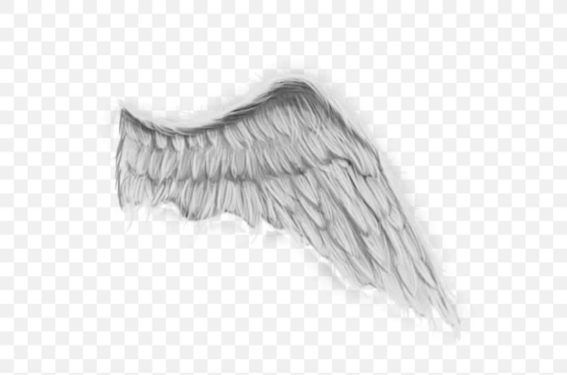 Angel Wing Painting Drawing DeviantArt, PNG, 580x543px, Wing, Angel, Angel Wing, Art, Artwork Download Free