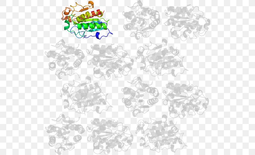 Flower Point Animal Clip Art, PNG, 532x500px, Flower, Animal, Area, Border, Organism Download Free