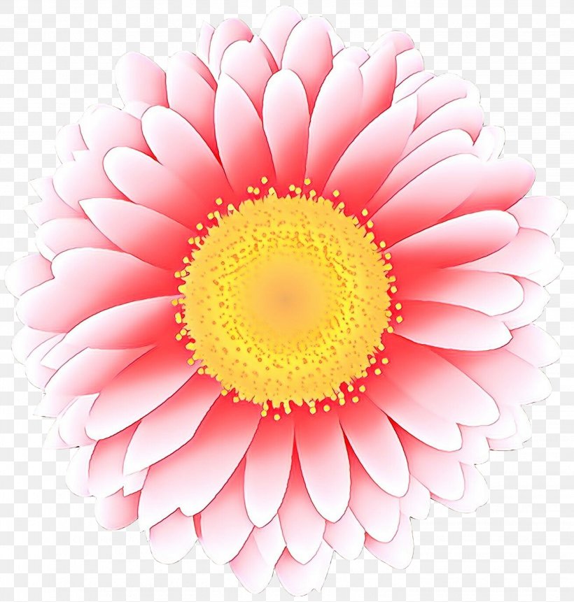 Flowers Background, PNG, 2856x3000px, Transvaal Daisy, Barberton Daisy, Chrysanthemum, Cut Flowers, Dahlia Download Free