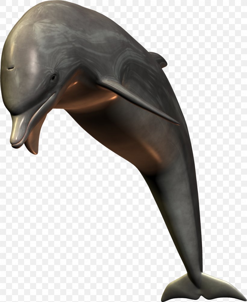Dolphin Shark, PNG, 1167x1428px, Rab, Animation, Beak, Dolphin, Fauna Download Free