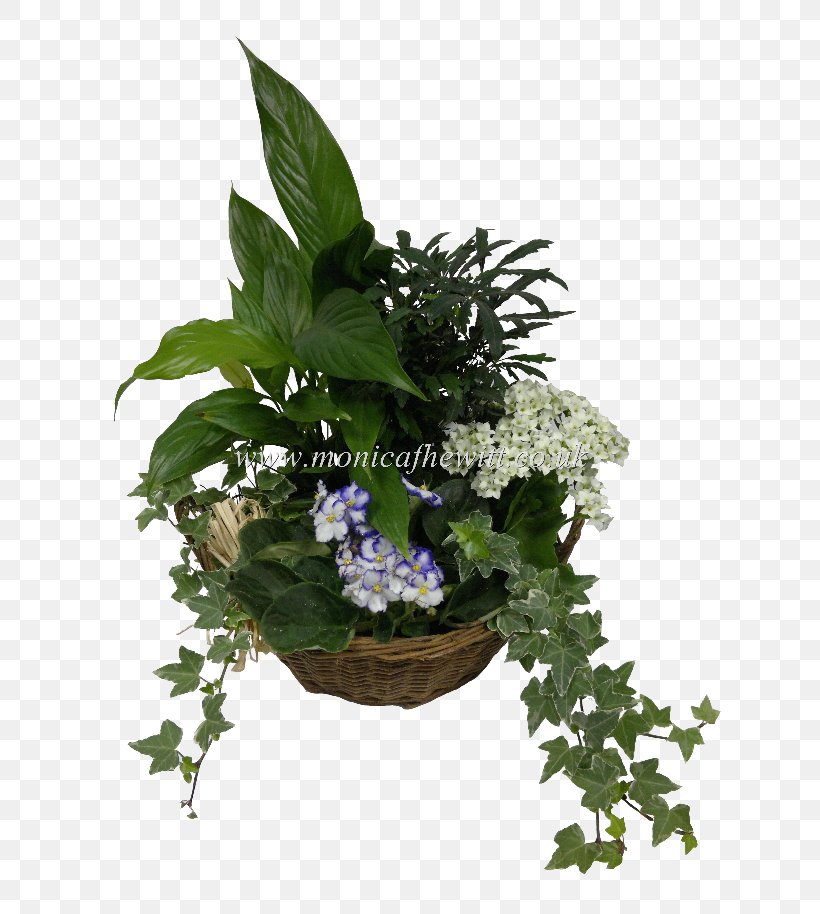 Flowerpot Leaf Houseplant Herb, PNG, 668x914px, Flowerpot, Flower, Herb, Houseplant, Ivy Download Free