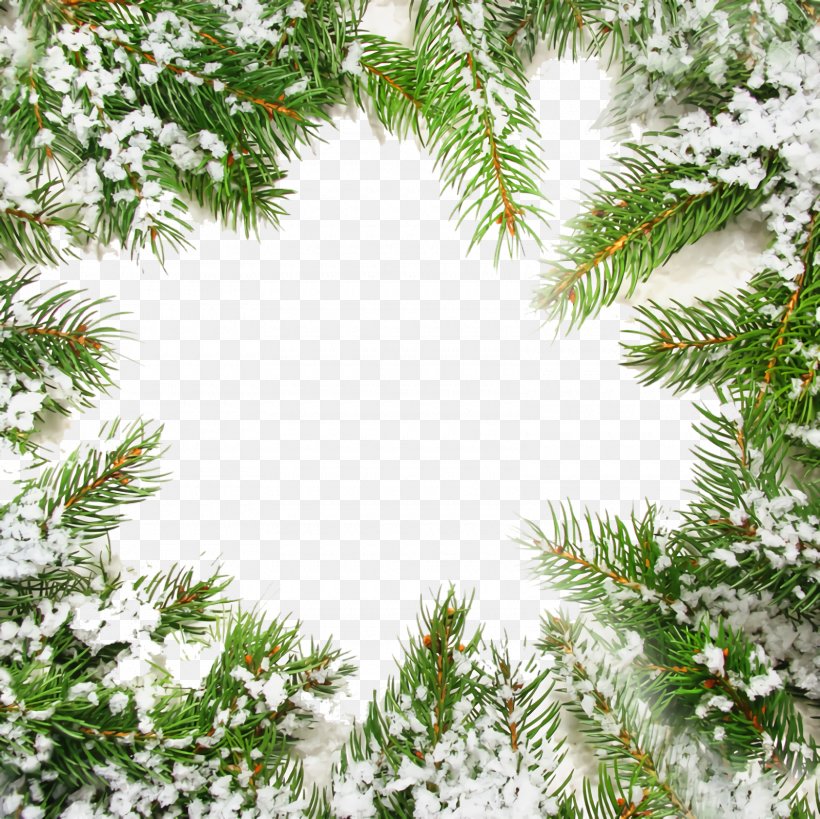 Christmas Frame Christmas Border Christmas Decor, PNG, 1600x1600px, Christmas Frame, Branch, Christmas, Christmas Border, Christmas Decor Download Free