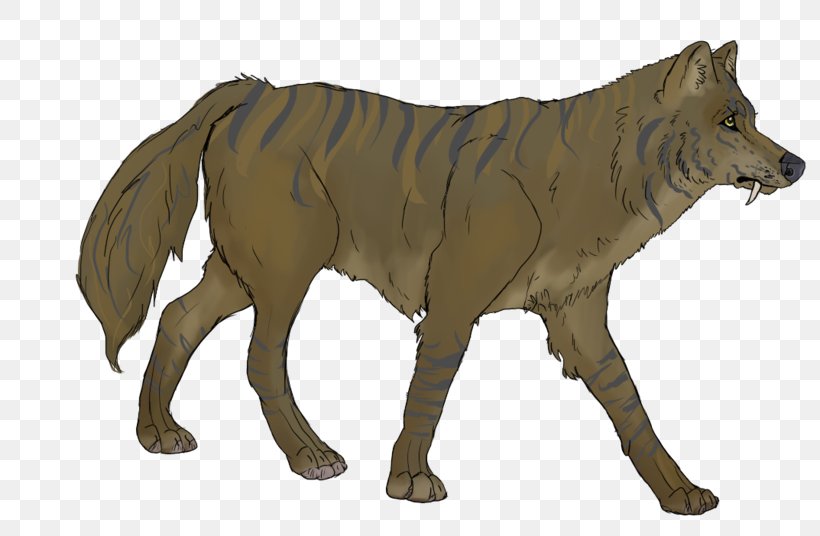 Gray Wolf Snout Terrestrial Animal Wildlife, PNG, 800x536px, Gray Wolf,  Animal, Animal Figure, Carnivoran, Dog Like