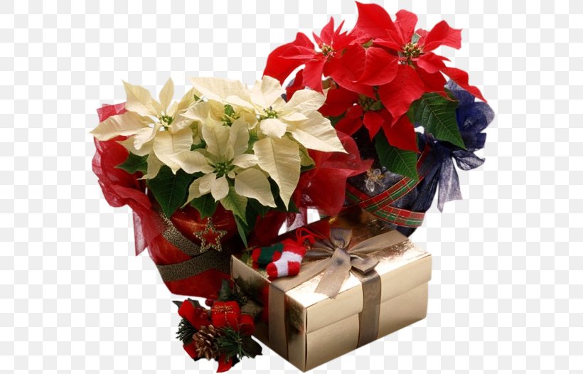 Poinsettia Christmas Gift Christmas Plants, PNG, 577x526px, Poinsettia, Artificial Flower, Christmas, Christmas Card, Christmas Decoration Download Free