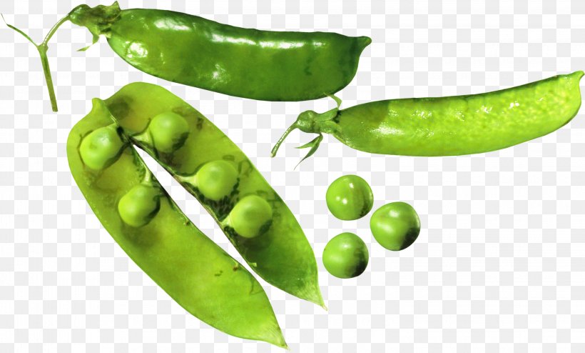 Snow Cartoon, PNG, 3056x1844px, Snap Pea, Bean, Birds Eye Chili, Chili Pepper, Food Download Free