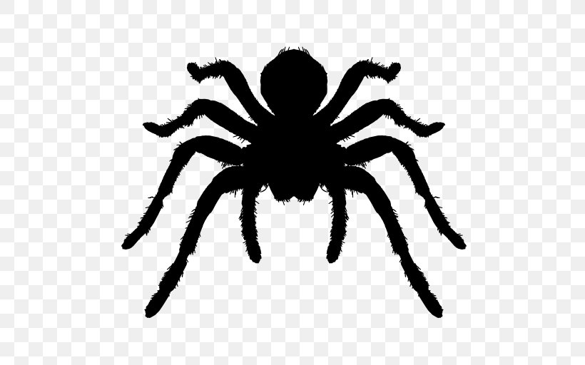 Spider Brazilian Whiteknee Tarantula Arthropod Icon, PNG, 512x512px, Spider, Animal, Arachnid, Arthropod, Black And White Download Free