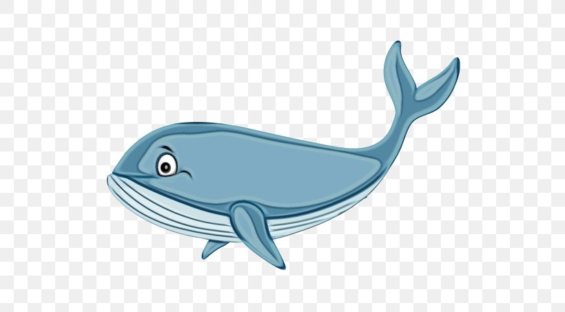 Common Bottlenose Dolphin Marine Biology Fauna Product Design, PNG, 566x453px, Common Bottlenose Dolphin, Biology, Blue Whale, Bottlenose Dolphin, Cartoon Download Free