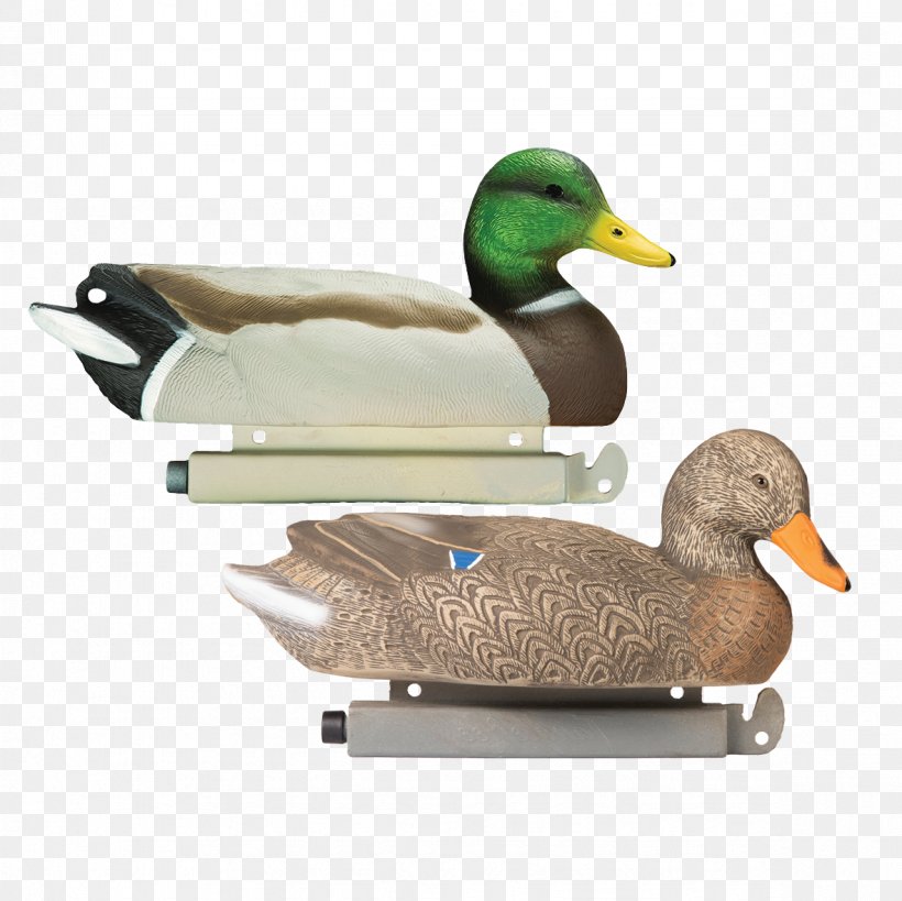 Mallard Duck Decoy Duck Decoy Anseriformes, PNG, 1181x1181px, Mallard, Anseriformes, Beak, Bird, Decoy Download Free