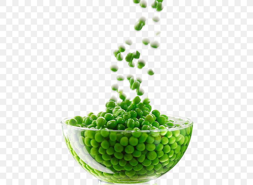 Vegetable Green Bean, PNG, 483x600px, Pea, Bean, Common Bean, Flowerpot, Food Download Free