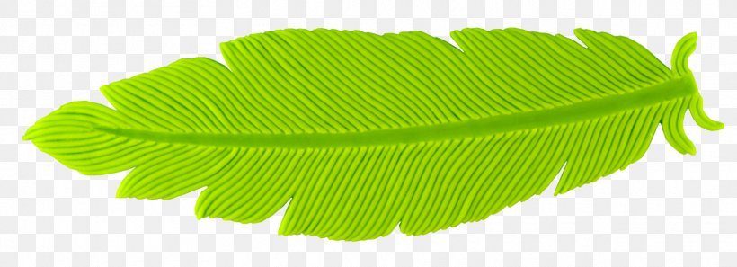 Banana Leaf Mold Green, PNG, 1767x640px, Banana Leaf, Banana, Feather, Grass, Green Download Free