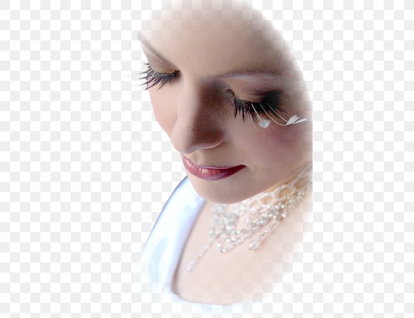 Eyelash Extensions Woman, PNG, 419x630px, Eyelash Extensions, Angie, Beauty, Cheek, Chin Download Free