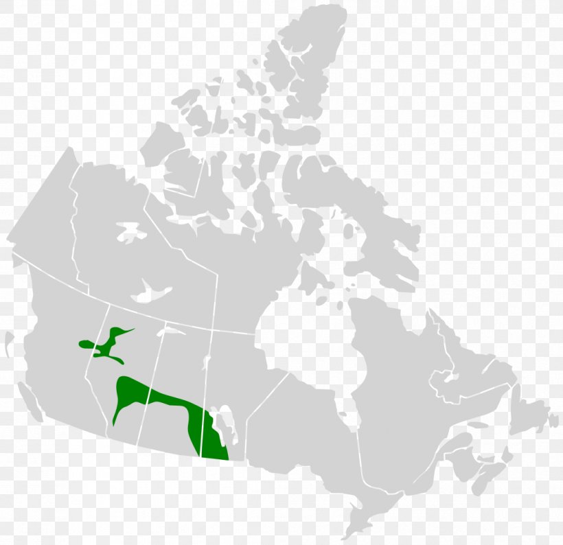 Flag Of Canada Map, PNG, 1057x1024px, Canada, Area, Blank Map, Flag Of Canada, Geography Download Free