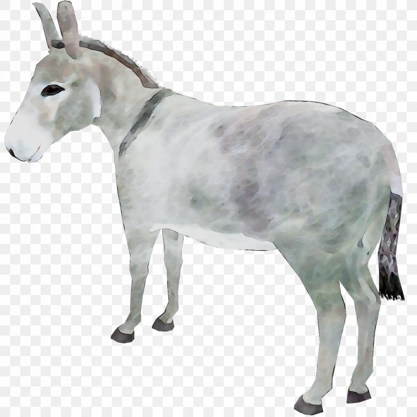 Goat Cattle Donkey Snout Terrestrial Animal, PNG, 1525x1525px, Goat, Animal, Animal Figure, Burro, Cattle Download Free