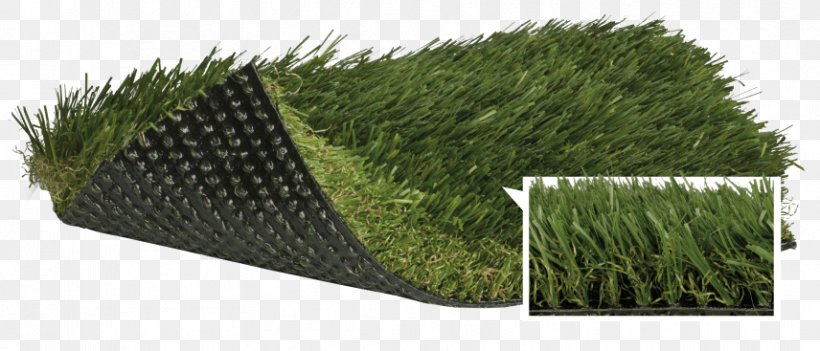 Lawn Artificial Turf Fescues Thatch Polypropylene, PNG, 856x367px, Lawn, Artificial Turf, Diamond, Fescues, Fiber Download Free