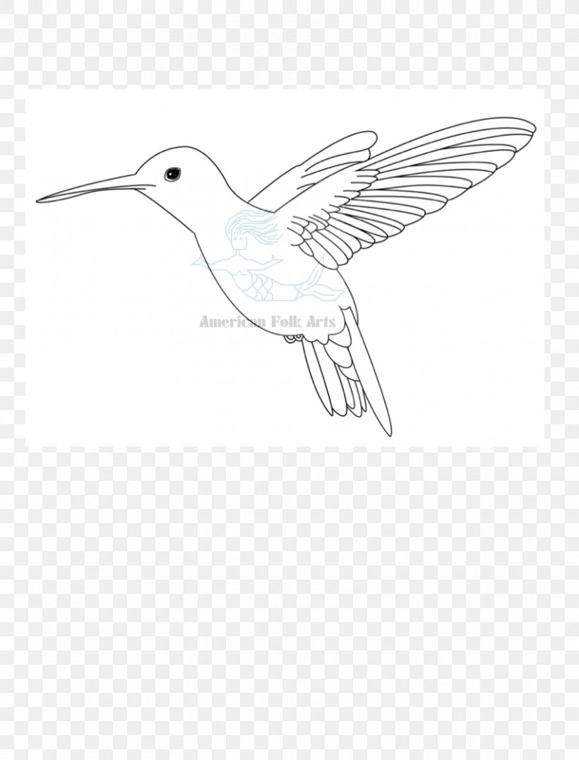 Line Art Drawing Fauna Beak Feather, PNG, 850x1115px, Line Art, Artwork, Beak, Bird, Black And White Download Free
