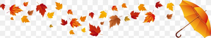 Red Maple Autumn Leaf Color Maple Leaf, PNG, 2500x454px, Red Maple, Autumn, Autumn Leaf Color, Banner, Color Download Free