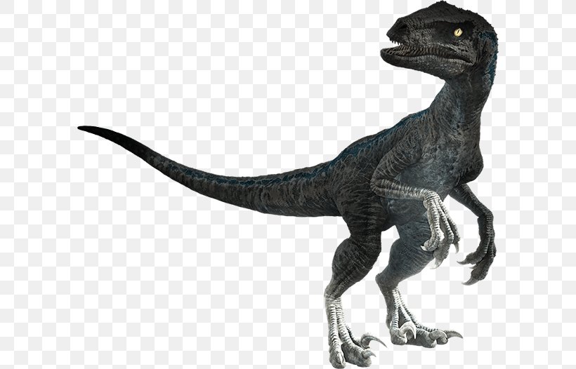 Velociraptor Universal Pictures Tyrannosaurus Stygimoloch Jurassic Park, PNG, 600x526px, Velociraptor, Amblin Entertainment, Animal Figure, Dinosaur, Extinction Download Free