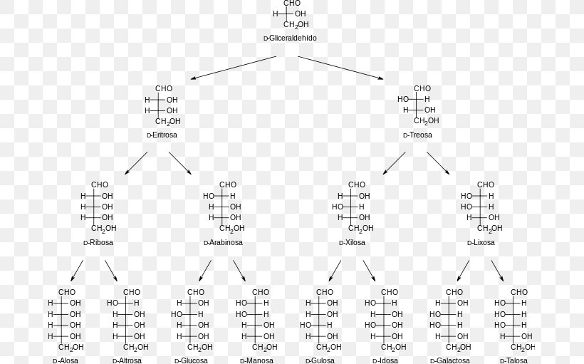 Aldose Carbohydrate Monosaccharide Carbon Fischer Projection, PNG, 683x511px, Aldose, Area, Biomolecule, Black And White, Brand Download Free