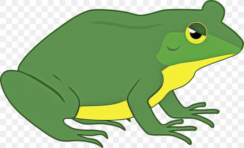 Amphibians True Frog Toad Frogs Cartoon, PNG, 1280x776px, Amphibians, Animal Figurine, Cartoon, Frogs, Terrestrial Plant Download Free