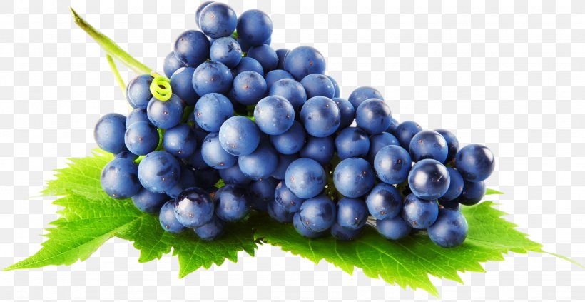 Common Grape Vine Grape Pie, PNG, 2254x1164px, Common Grape Vine, Berry, Bilberry, Blueberry, Food Download Free