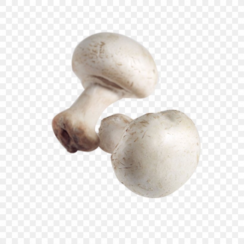 Common Mushroom Pleurotus Eryngii Agaricus Campestris Shiitake, PNG, 1000x1000px, Common Mushroom, Agaricaceae, Agaricomycetes, Agaricus, Agaricus Campestris Download Free