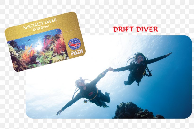 Professional Association Of Diving Instructors Scuba Diving Drift Diving Underwater Diving Open Water Diver, PNG, 1024x682px, Scuba Diving, Advanced Open Water Diver, Advertising, Brand, Certification Download Free