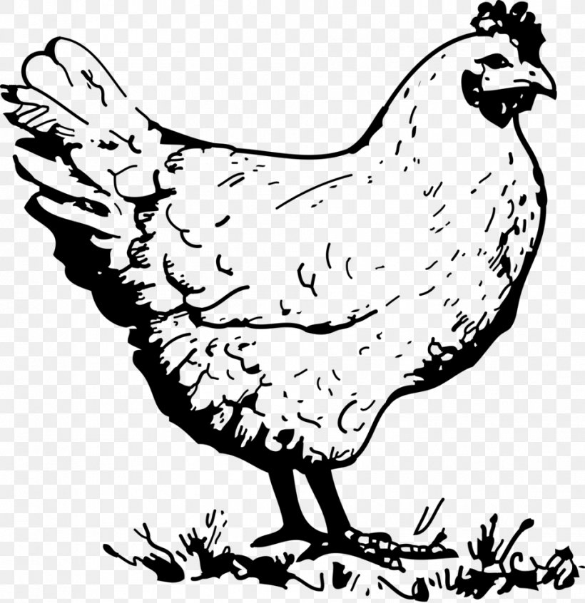 Roast Chicken Drawing Chicken Meat Clip Art, PNG, 958x989px, Chicken, Art, Artwork, Beak, Bird Download Free