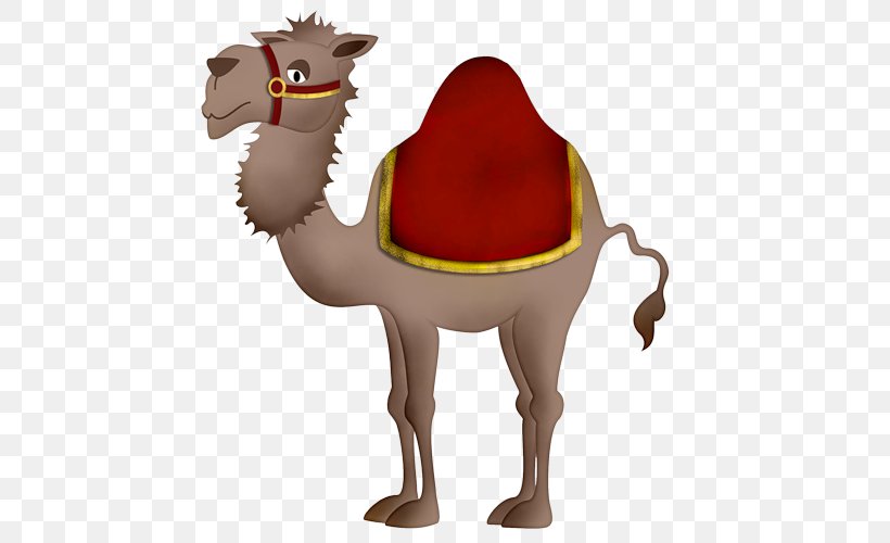 Baby Camels Bactrian Camel Dromedary Clip Art, PNG, 500x500px, Baby Camels, Animation, Arabian Camel, Bactrian Camel, Camel Download Free