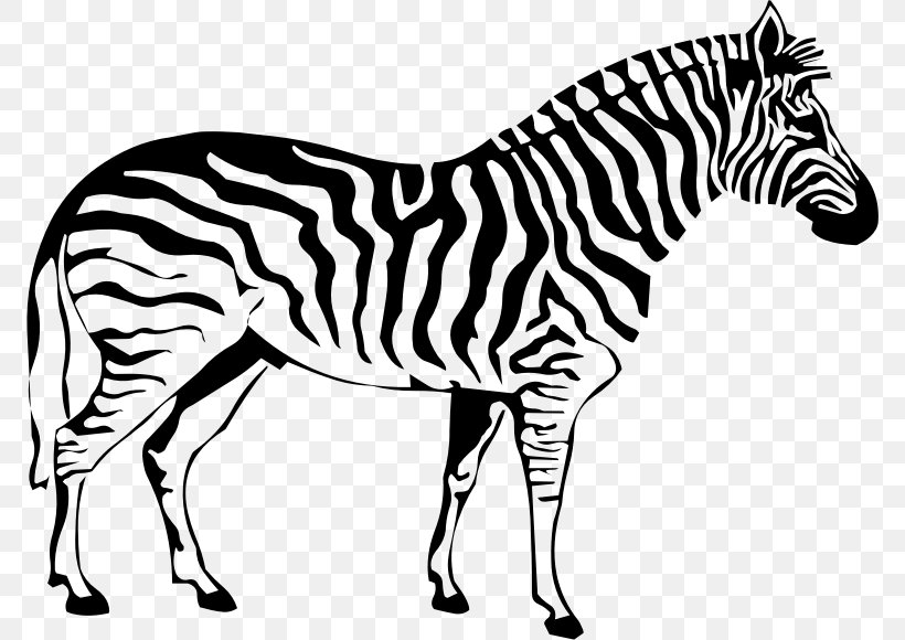 Coloring Book Zebra Drawing Stripe Adult, PNG, 772x580px, Coloring Book, Adult, Animal, Animal Figure, Black And White Download Free