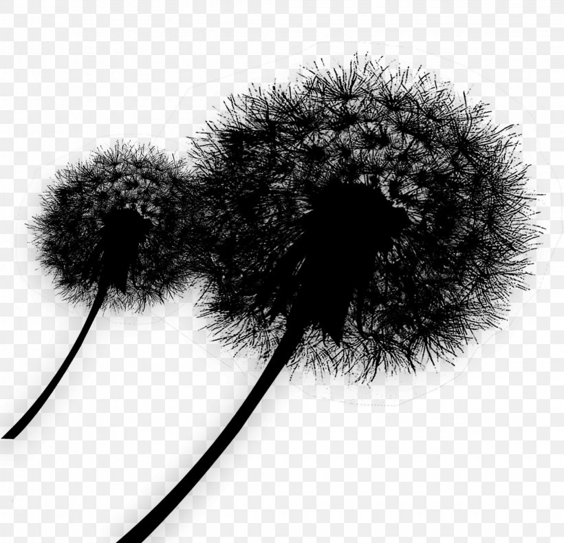 Fur, PNG, 2044x1967px, Fur, Audio Equipment, Blackandwhite, Ear, Headgear Download Free