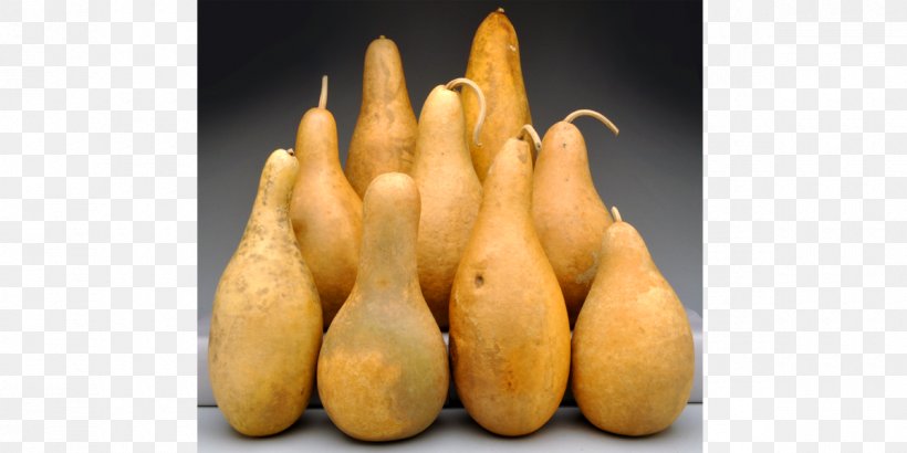 Gourd Cucurbita Root Vegetables Tuber, PNG, 1200x600px, Gourd, Average, Banana, Boxedcom, Cucurbita Download Free
